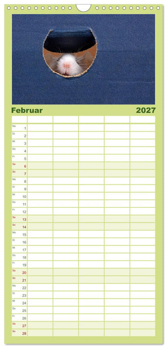 Süße Mäuse und Coole Ratten (CALVENDO Familienplaner 2027)