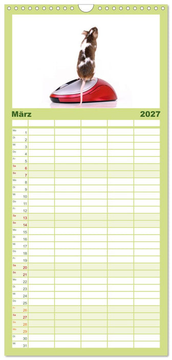 Süße Mäuse und Coole Ratten (CALVENDO Familienplaner 2027)