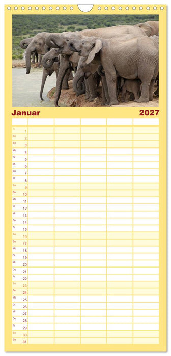Elefanten in Afrika (CALVENDO Familienplaner 2027)