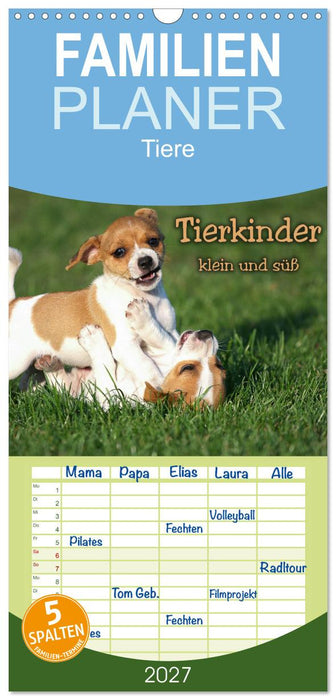 Tierkinder klein und süß (CALVENDO Familienplaner 2027)