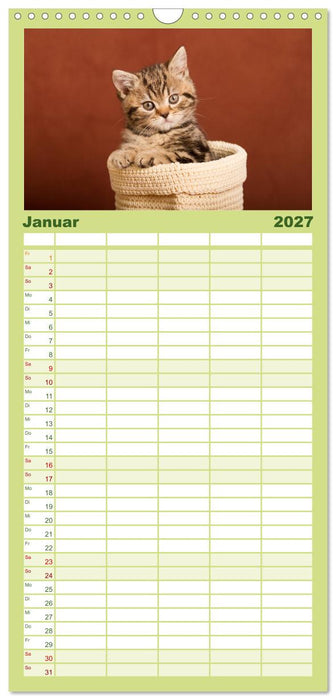 Tierkinder klein und süß (CALVENDO Familienplaner 2027)