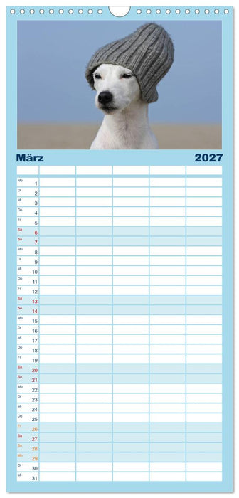 Parson Russell Terrier (CALVENDO Familienplaner 2027)