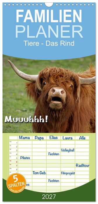 Muuuhhh! (CALVENDO Familienplaner 2027)