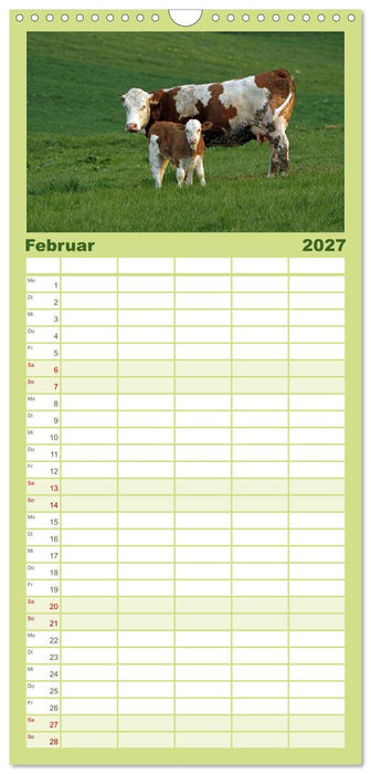 Muuuhhh! (CALVENDO Familienplaner 2027)
