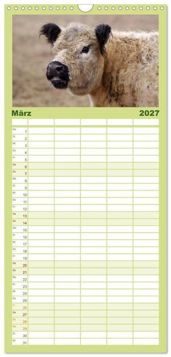 Muuuhhh! (CALVENDO Familienplaner 2027)