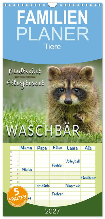 Waschbär - Niedlicher Allesfresser (CALVENDO Familienplaner 2027)