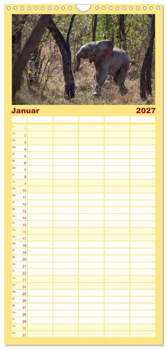 Tierbabys 2027 (CALVENDO Familienplaner 2027)