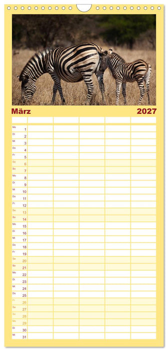 Tierbabys 2027 (CALVENDO Familienplaner 2027)