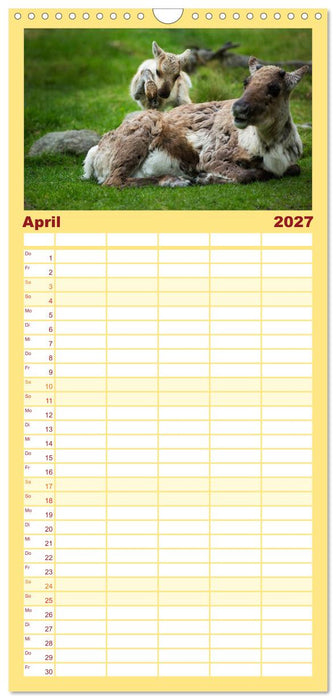 Tierbabys 2027 (CALVENDO Familienplaner 2027)