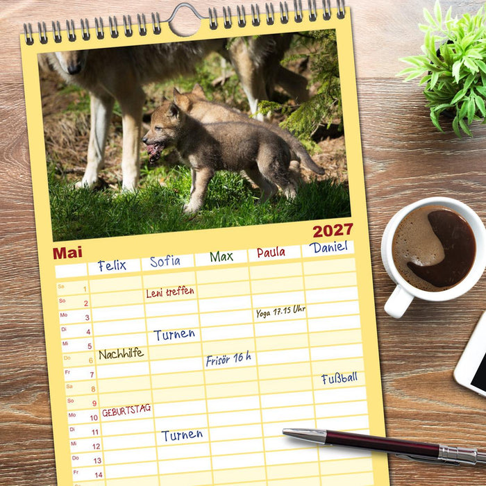 Tierbabys 2027 (CALVENDO Familienplaner 2027)