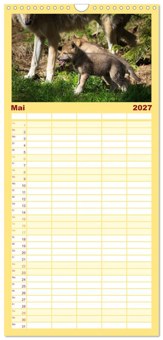 Tierbabys 2027 (CALVENDO Familienplaner 2027)