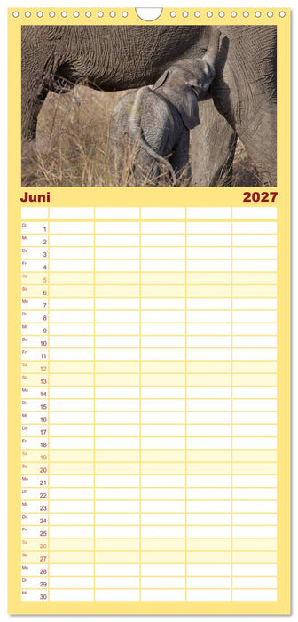 Tierbabys 2027 (CALVENDO Familienplaner 2027)