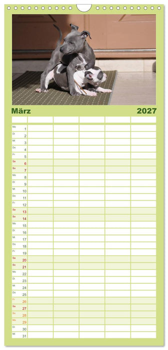 American Staff und Co. (CALVENDO Familienplaner 2027)