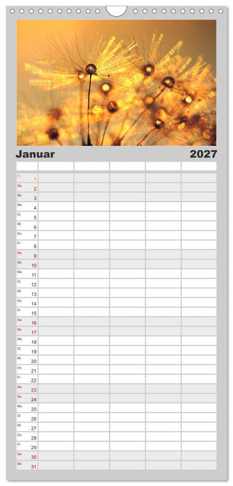 Naturjuwel Pusteblume (CALVENDO Familienplaner 2027)