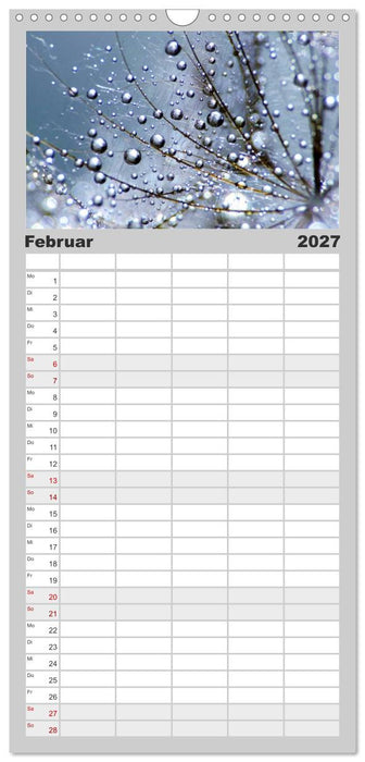 Naturjuwel Pusteblume (CALVENDO Familienplaner 2027)