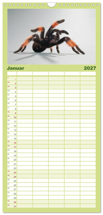 Mystische Vogelspinnen (CALVENDO Familienplaner 2027)