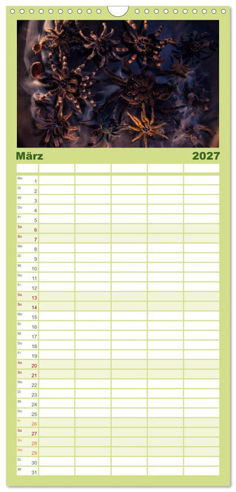 Mystische Vogelspinnen (CALVENDO Familienplaner 2027)
