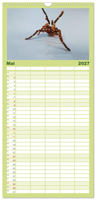 Mystische Vogelspinnen (CALVENDO Familienplaner 2027)