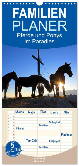 Pferde und Ponys im Paradies (CALVENDO Familienplaner 2027)