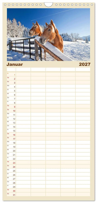 Pferde und Ponys im Paradies (CALVENDO Familienplaner 2027)