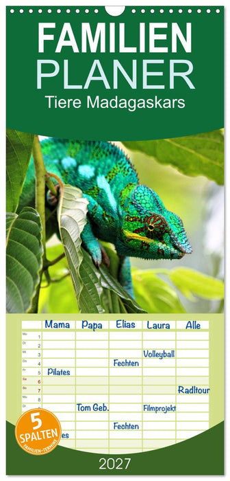 Tiere Madagaskars (CALVENDO Familienplaner 2027)