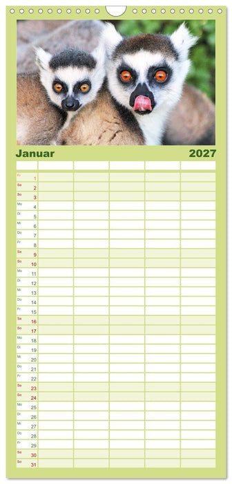 Tiere Madagaskars (CALVENDO Familienplaner 2027)