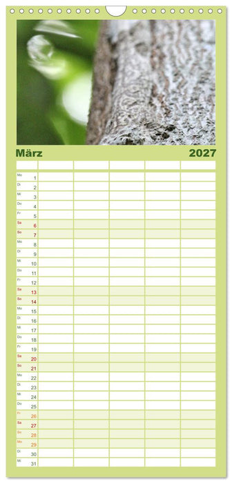 Tiere Madagaskars (CALVENDO Familienplaner 2027)