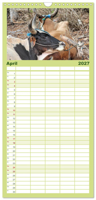 Tiere Madagaskars (CALVENDO Familienplaner 2027)