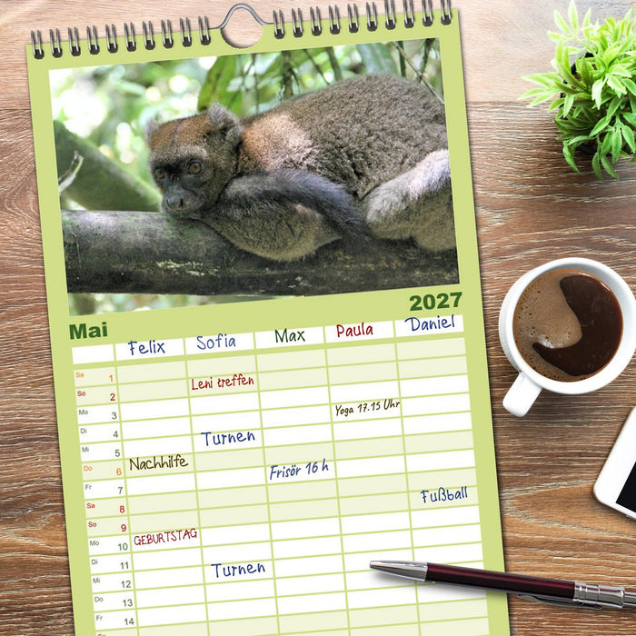 Tiere Madagaskars (CALVENDO Familienplaner 2027)
