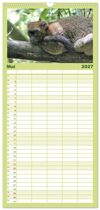Tiere Madagaskars (CALVENDO Familienplaner 2027)