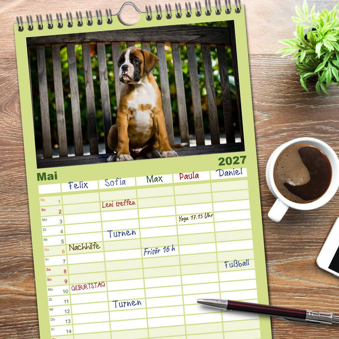 Wenn ich groß bin werd' ich Boxer (CALVENDO Familienplaner 2027)