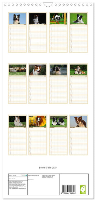 Border Collie 2027 (CALVENDO Familienplaner 2027)