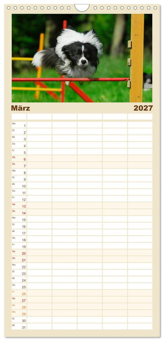 Border Collie 2027 (CALVENDO Familienplaner 2027)