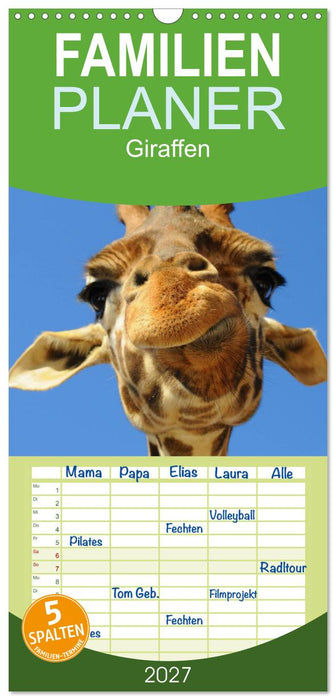Giraffen (CALVENDO Familienplaner 2027)