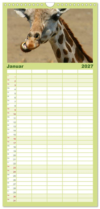 Giraffen (CALVENDO Familienplaner 2027)