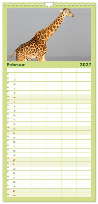 Giraffen (CALVENDO Familienplaner 2027)