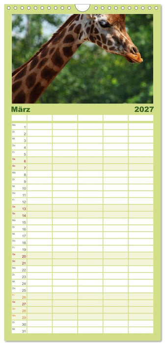 Giraffen (CALVENDO Familienplaner 2027)