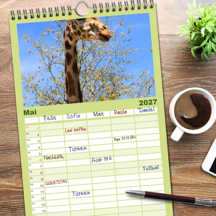 Giraffen (CALVENDO Familienplaner 2027)