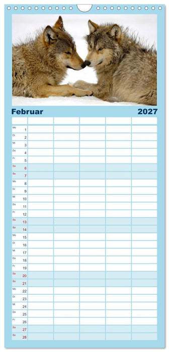 Kanadische Wölfe im Winter (CALVENDO Familienplaner 2027)