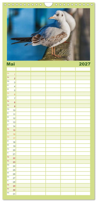 Entdeckungen auf der Insel Rügen (CALVENDO Familienplaner 2027)