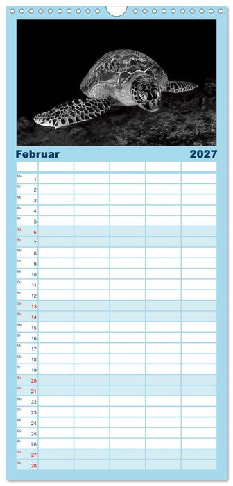 Schildkröten des Ozeans (CALVENDO Familienplaner 2027)
