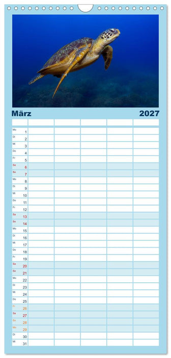 Schildkröten des Ozeans (CALVENDO Familienplaner 2027)