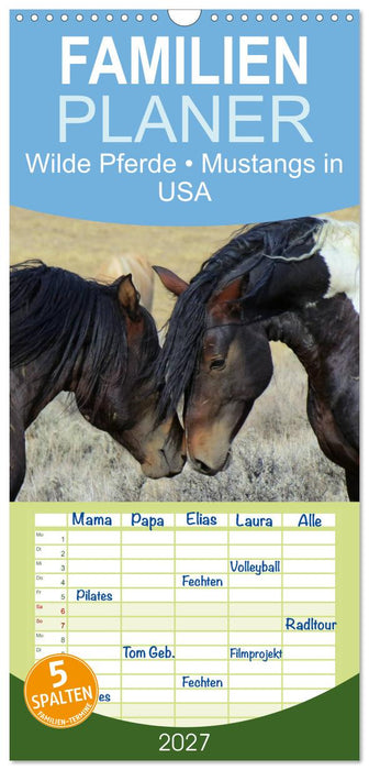 Wilde Pferde • Mustangs in USA (CALVENDO Familienplaner 2027)