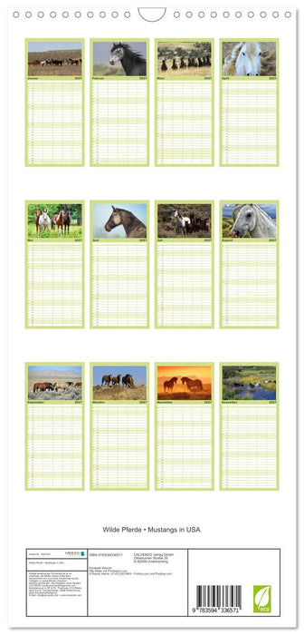 Wilde Pferde • Mustangs in USA (CALVENDO Familienplaner 2027)