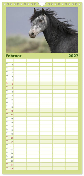 Wilde Pferde • Mustangs in USA (CALVENDO Familienplaner 2027)