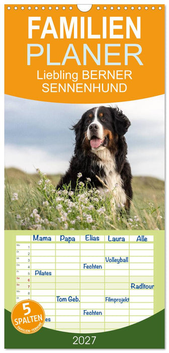 Liebling BERNER SENNENHUND (CALVENDO Familienplaner 2027)