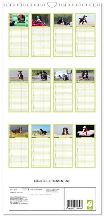 Liebling BERNER SENNENHUND (CALVENDO Familienplaner 2027)