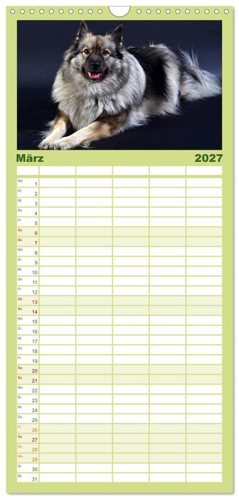 Der Wolfsspitz (CALVENDO Familienplaner 2027)