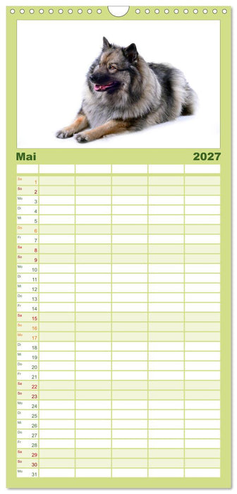 Der Wolfsspitz (CALVENDO Familienplaner 2027)