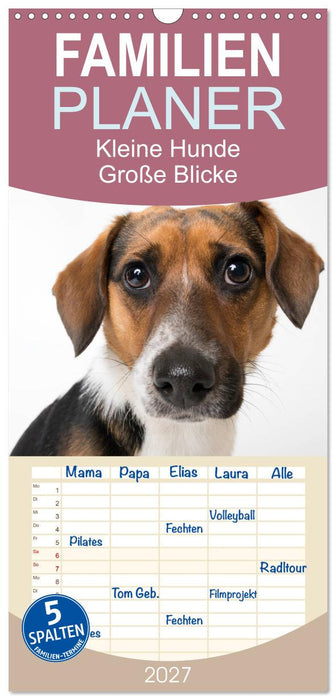 Kleine Hunde - Große Blicke (CALVENDO Familienplaner 2027)